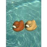 Rață de silicon 2pcs Magni